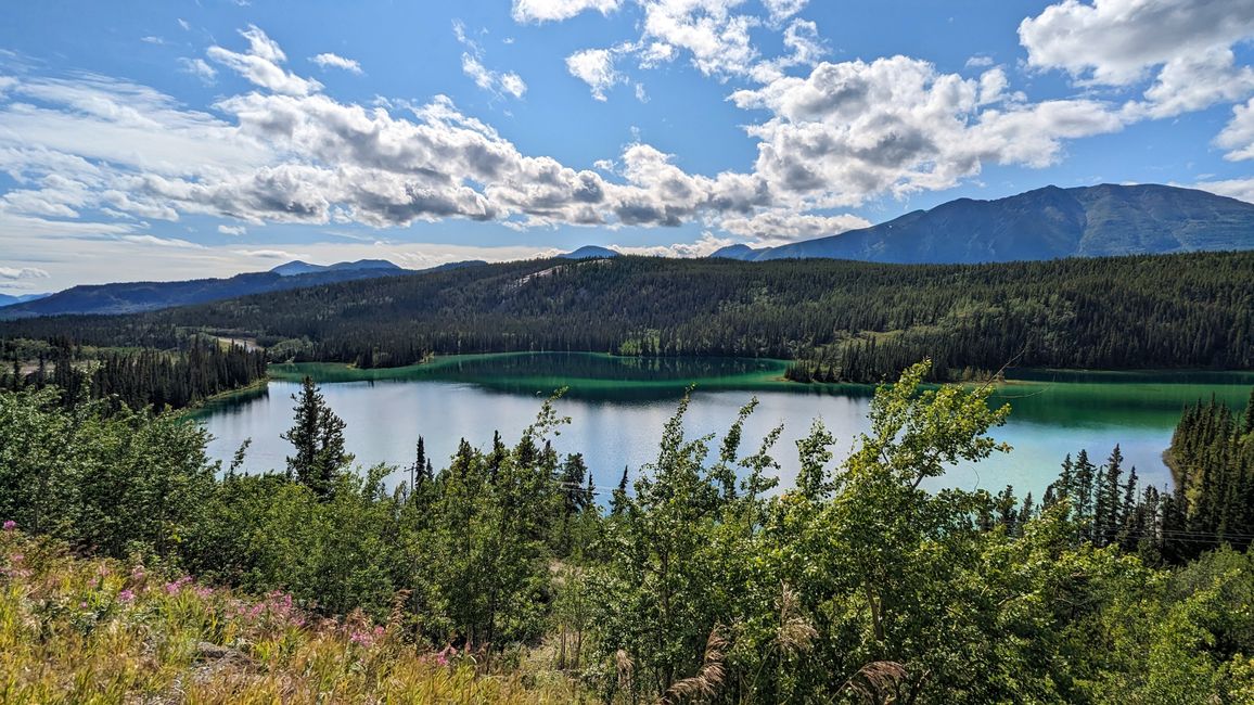 Day 21: Around Whitehorse: Husky Puppies, Emerald Lake & the smallest desert in the world