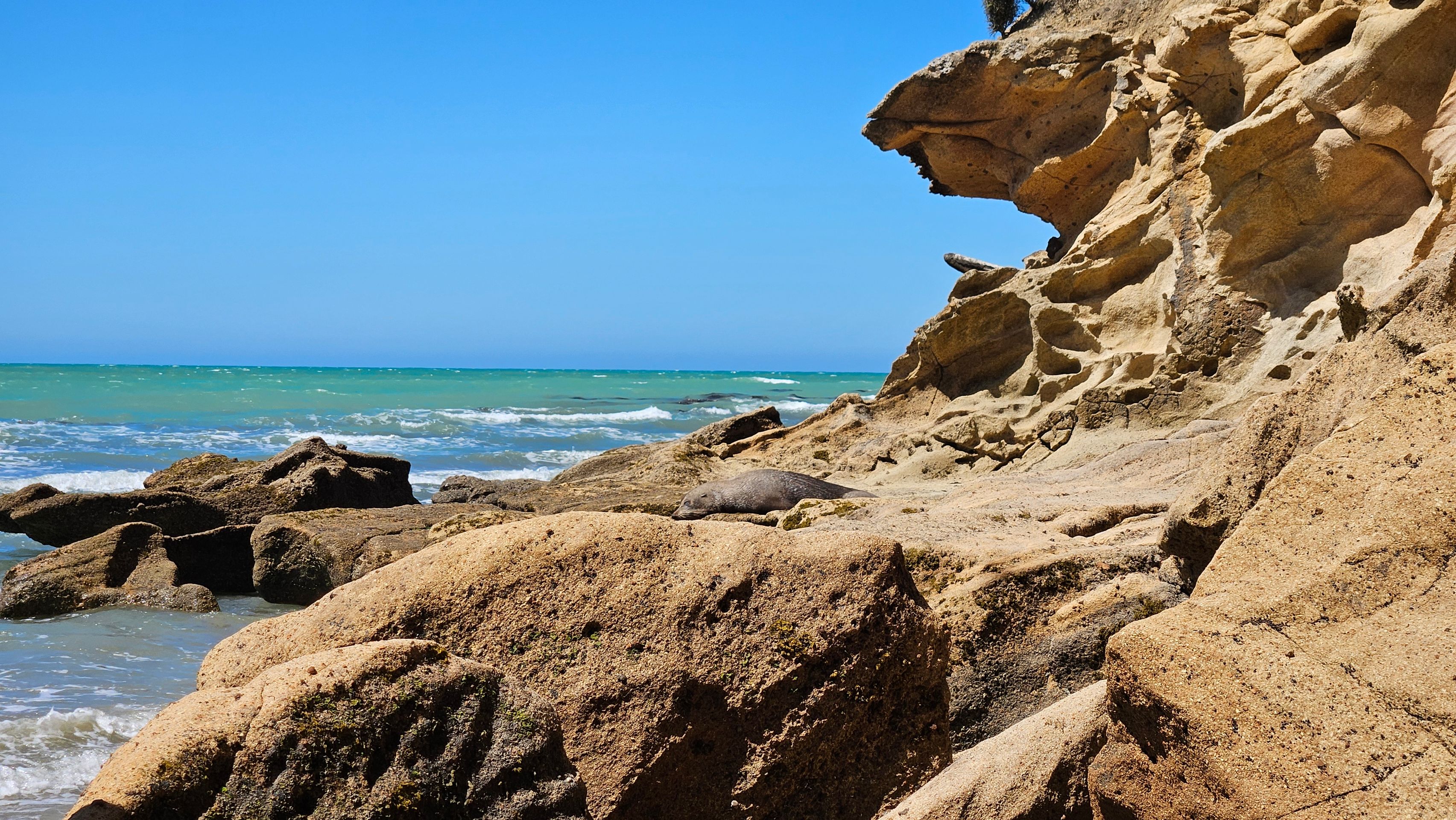 All Day Beach - Timaru - Christchurch - Goodbye New Zealand