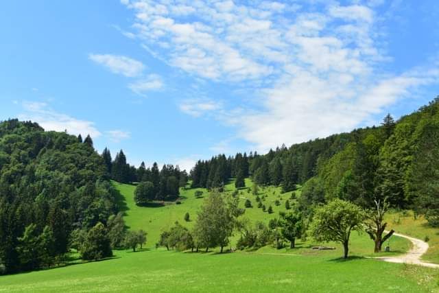 * * * Wacholderhain und Felsgesicht: eine Wanderung in der wilden Schönheit des Lochenpasses * * *