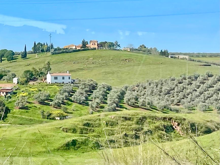 ... mit idyllischen Anwesen, ...