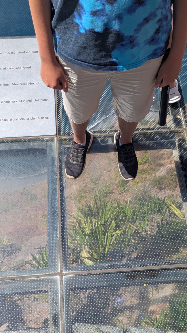 Day 15: The South Coast with Waterfall, Skywalk & Cristo Rei