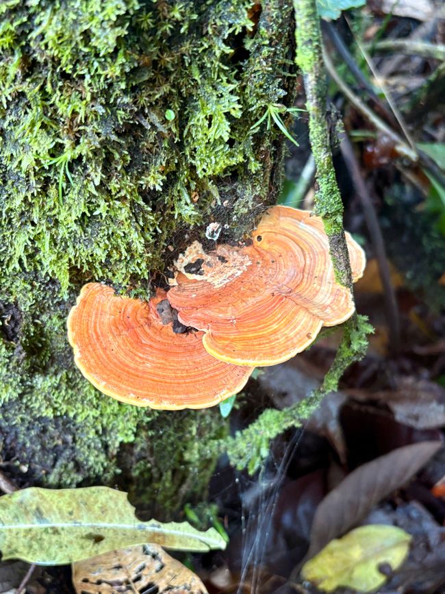 Unterwegs in Costa Rica