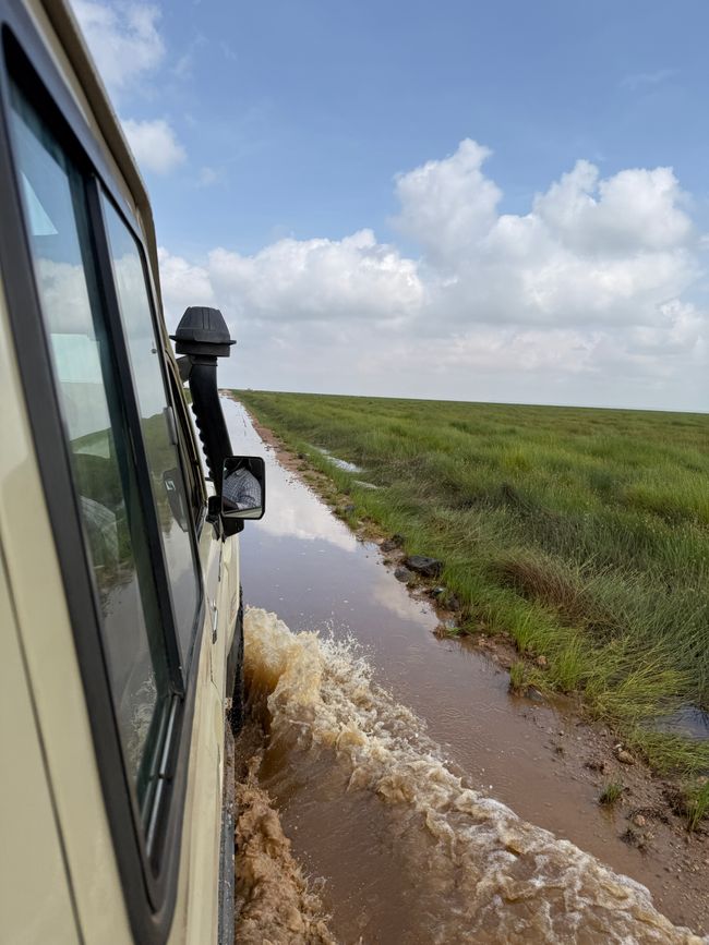 Amboseli und Tsavo West