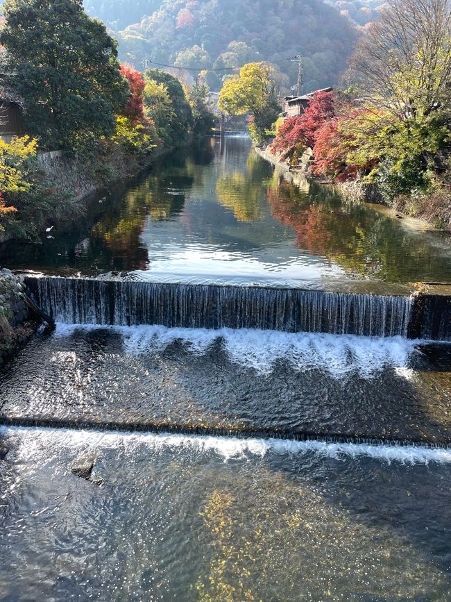 23.Kapitel: Arashiyama oder ein Tag von vorne bis hinten gelungen