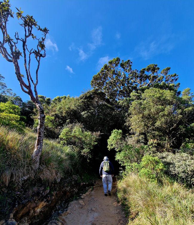 Horton Eco Park - World's End