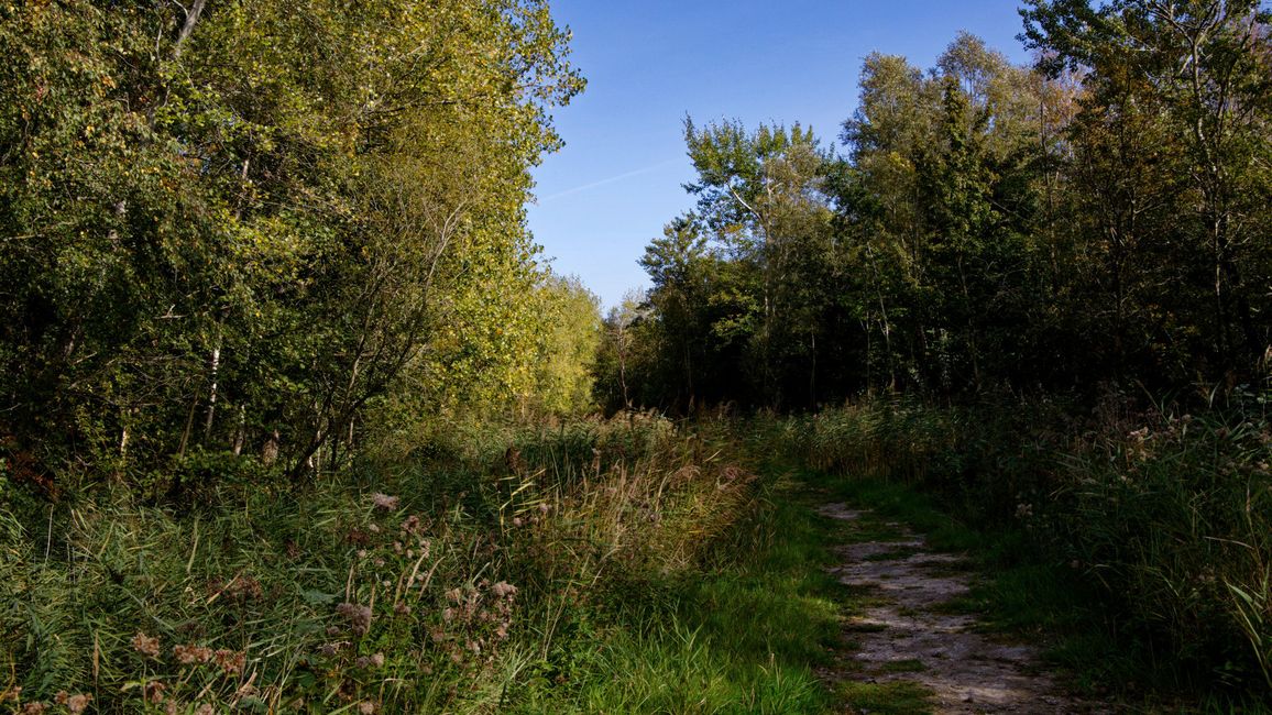 Rugged nature in open landscape