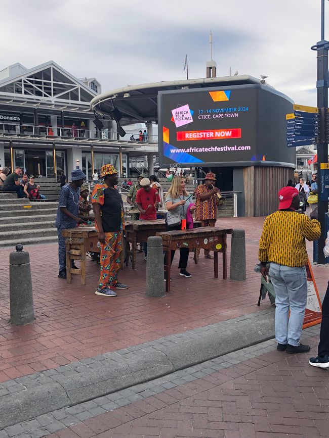 #2 - Cape Town - Waterfront - Boat Tour - Dolphins