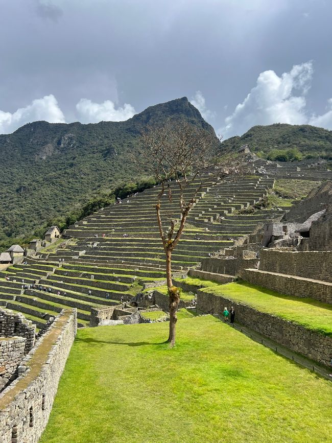 👷‍♂️Tag 26-2 (3.11.) Machu Picchu, die alte Inca-Stadt