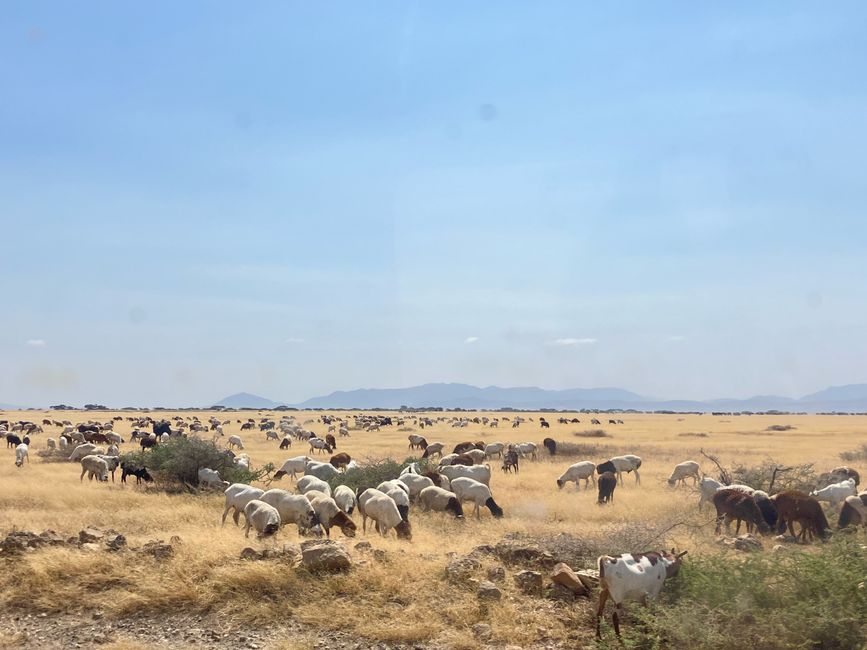 Il Cratere di Ngorongoro