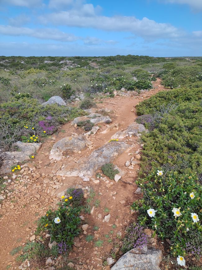Sagres -> Vila do Bispo