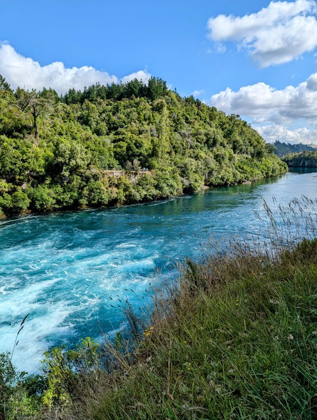 Taupo - fast alles genau richtig so