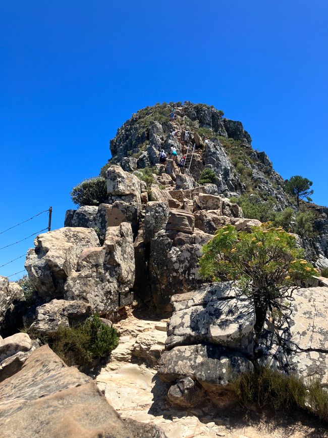 Hiking Lion’s head and Signal hill as last day tour