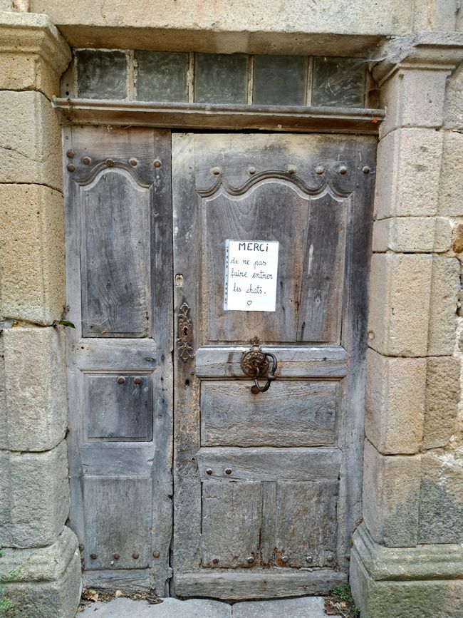 Danke, dass Sie nicht die Katzen reinlassen!