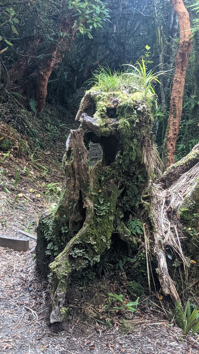 New Plymouth / Okato / Mt. Taranaki