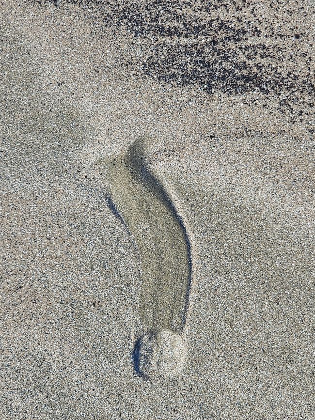 Tag 21, 15. Mai, Cape Hillsborough Nationalpark