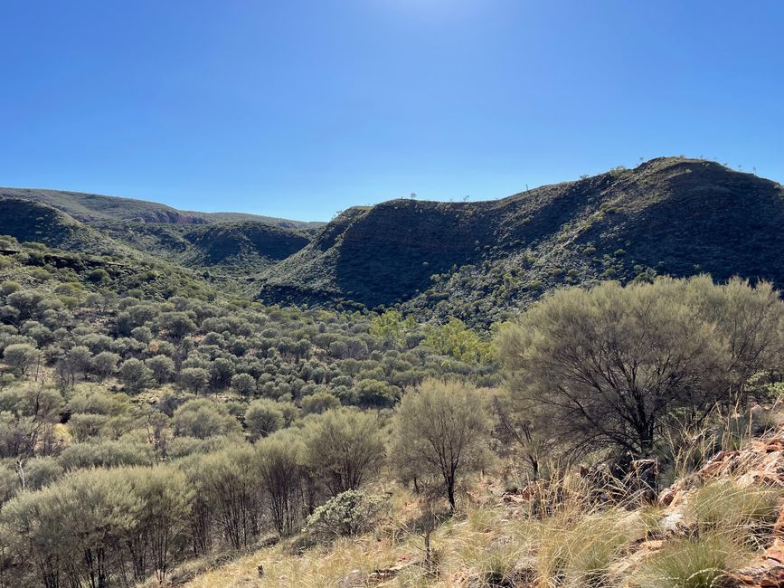 Are we really in the desert?