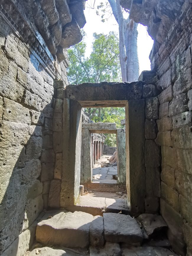 Auf Tempeltour in Siem Reap (Reload)