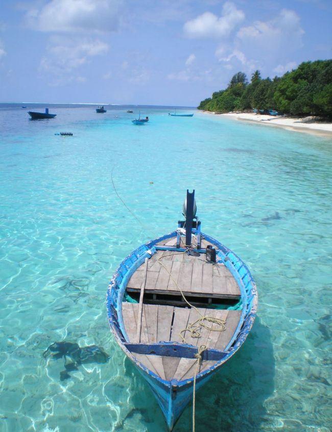 10 Días en Thundufushi - Un Viaje a Través de Aguas Azules, Jardines de Coral y Momentos de Quietud
