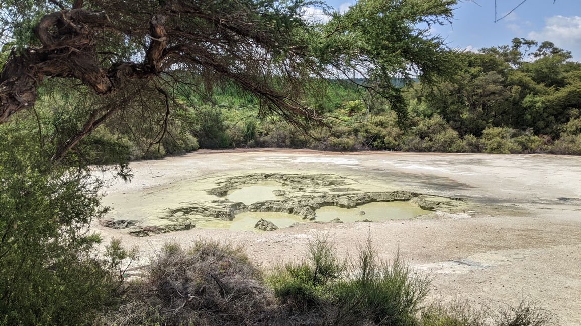 Wai-O-Tapu / Rotorua