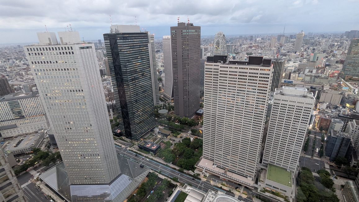 Sightseeing in Shibuya und Shinjuku