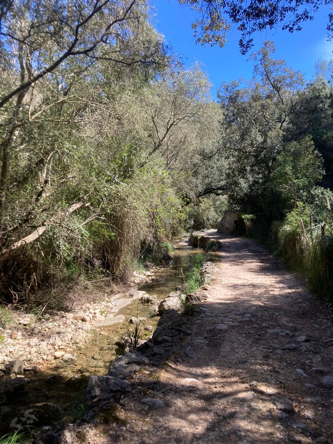 Wandern… von Santa Maria aus zum Tramuntana Gebirge…soweit meine Füße mich tragen