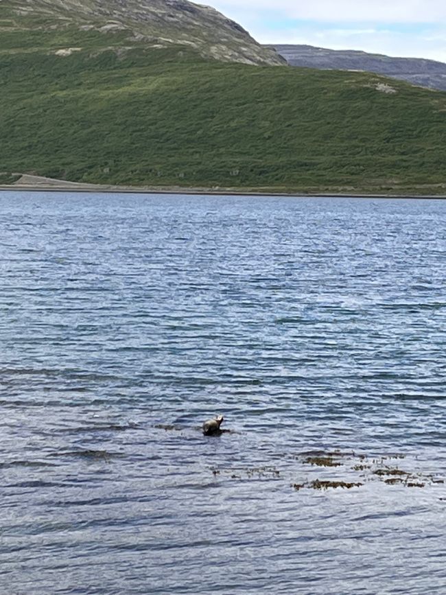 De Von Heydalur a Drangsnes