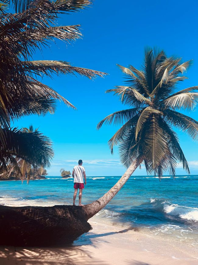 Bocas del Toro