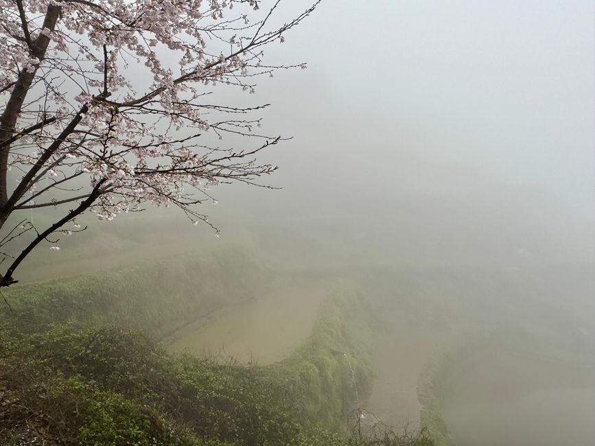 Part 4
 Huangshan and Yunhe