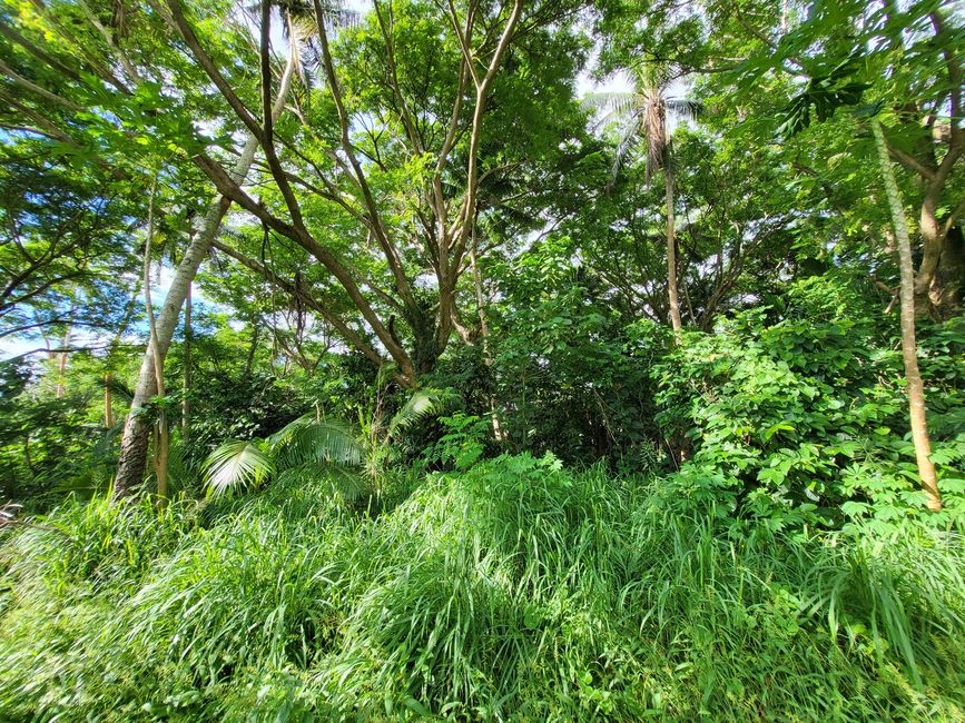 Lomaloma, Insel Vanua Balavu, Fidschi