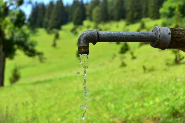 * * * Wacholderhain und Felsgesicht: eine Wanderung in der wilden Schönheit des Lochenpasses * * *