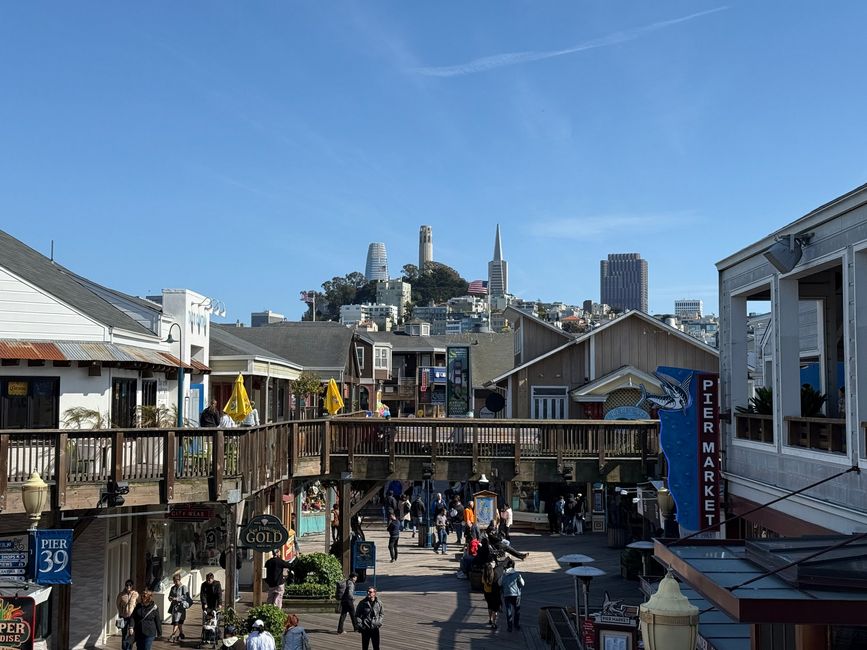 Vue de Pier 39 sur Telegraph Hill