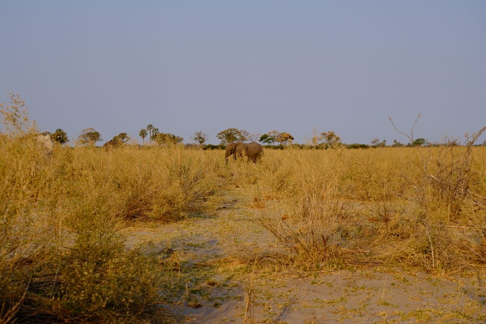 Okavango Delta 🇧🇼