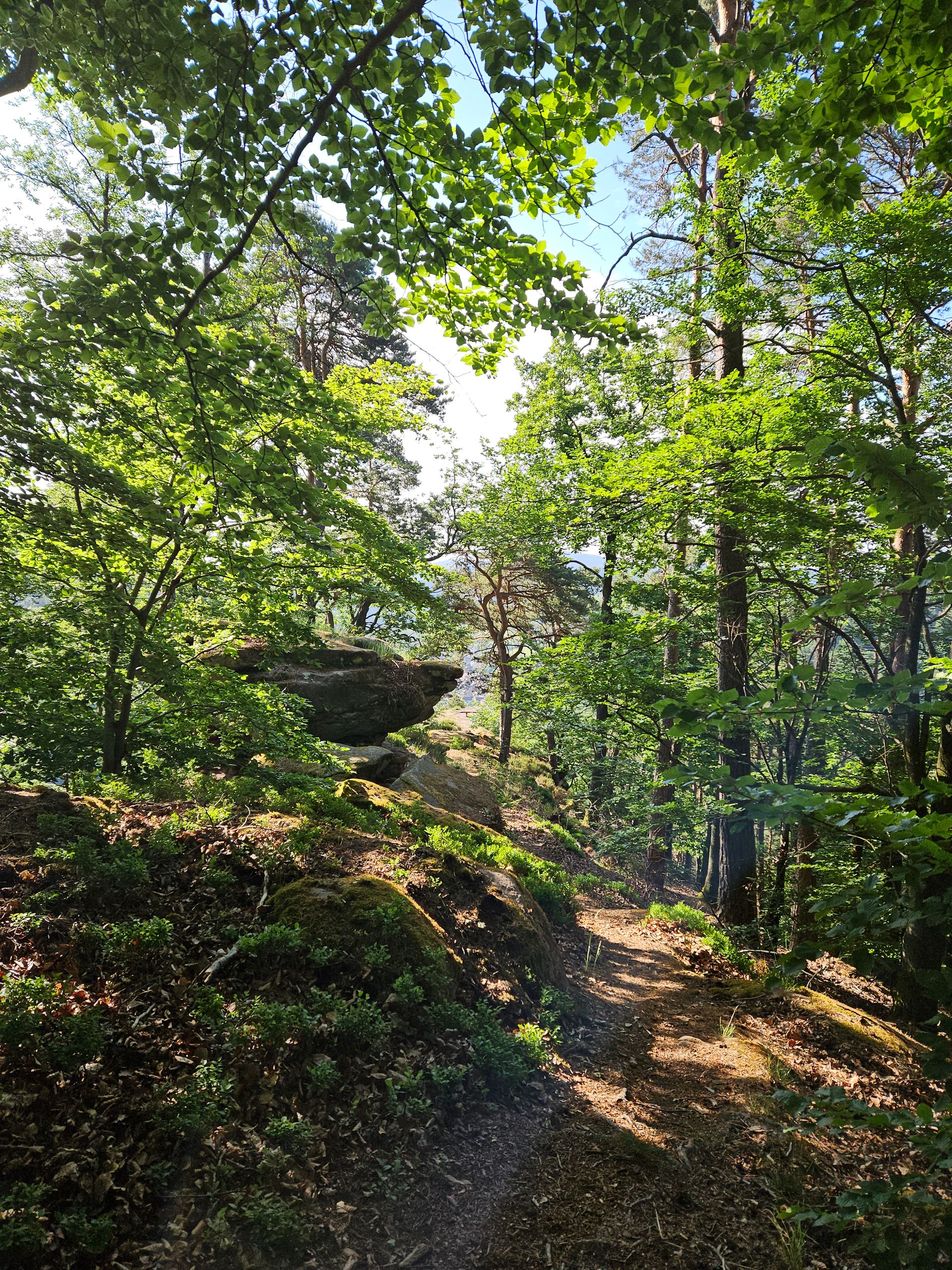Last descent from the camp in the morning