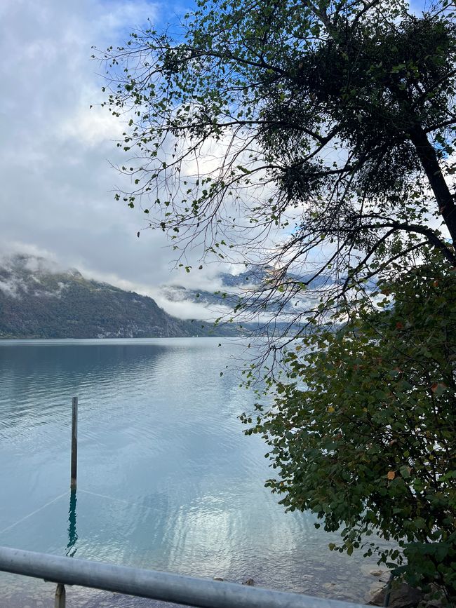 lake view