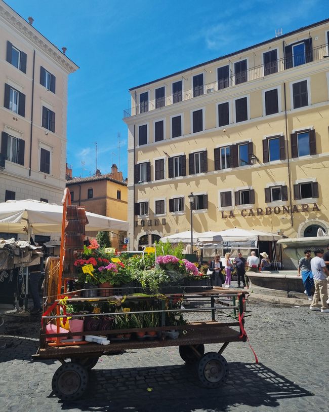 der letzte Blumenhändler am Campo dei Fiori?