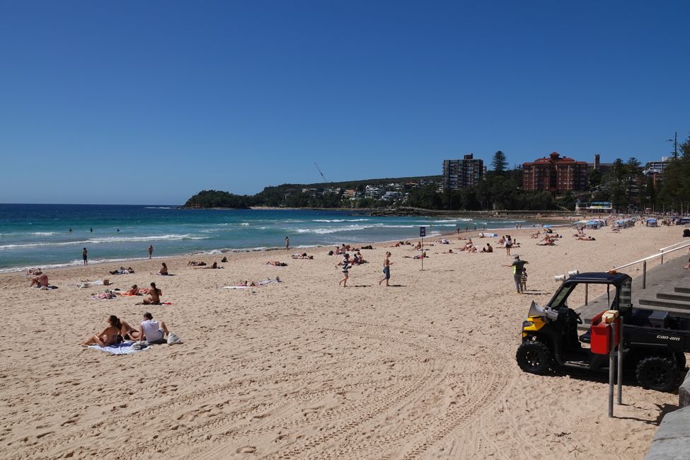 Sulle spiagge di Manly ....