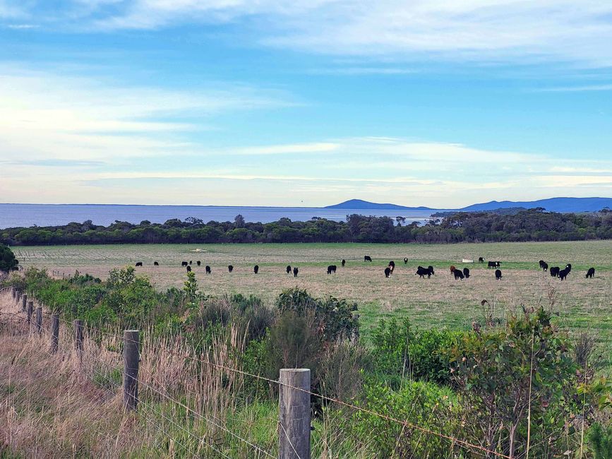 Melbourne - Wilsons-Promontory-Nationalpark