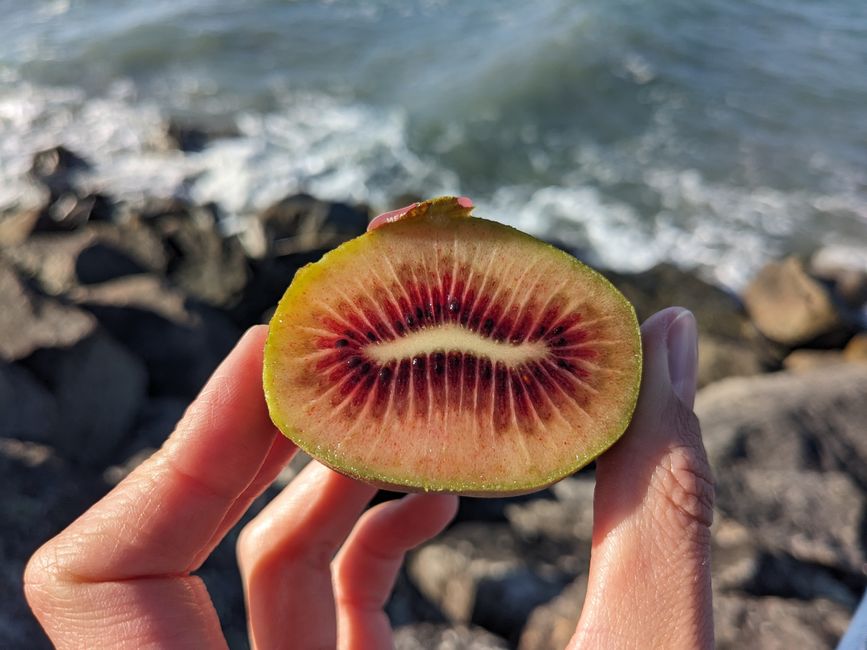 Red kiwi, very sweet and tasty.