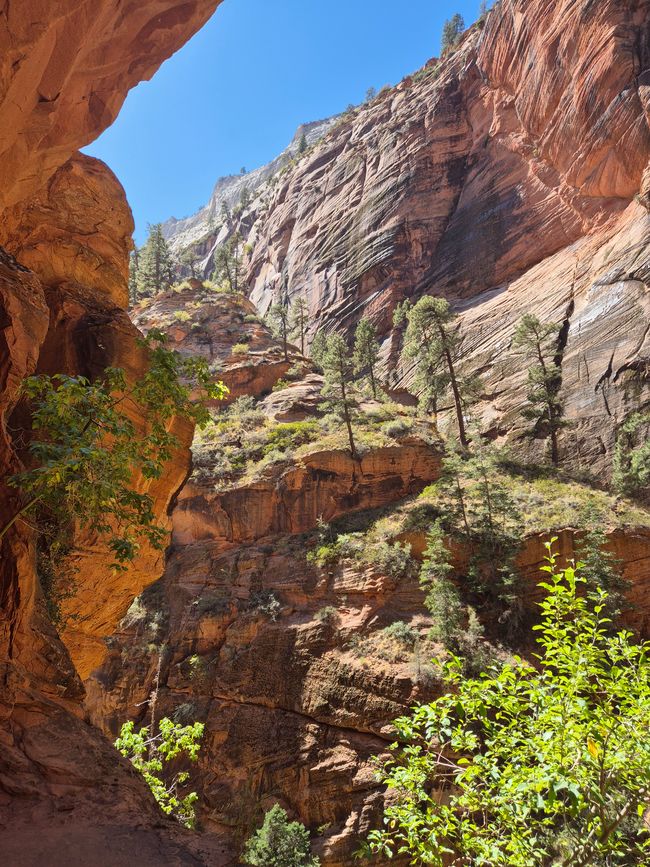 02.10. Parque Nacional Zion