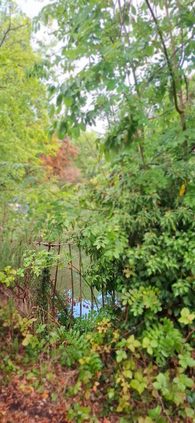 Tag 13 - Blackburn -> Oxford