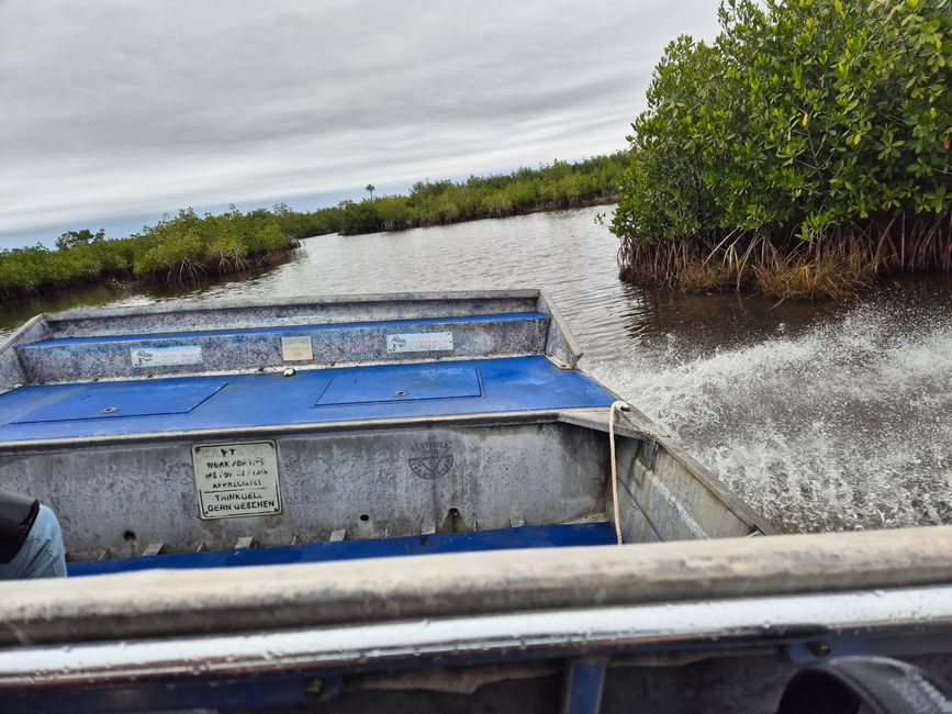 Tag 13: Everglades mit dem Airboat und dem Sunflower Boat
