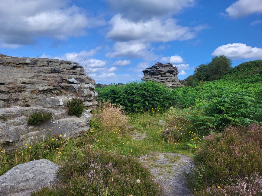 Dalby Forest