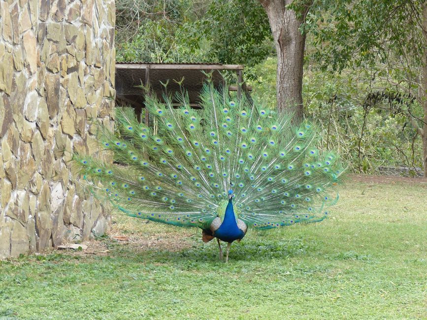 Refugio Canaa Brasil