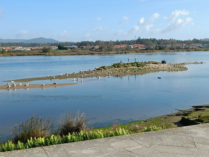 Walk on the river 