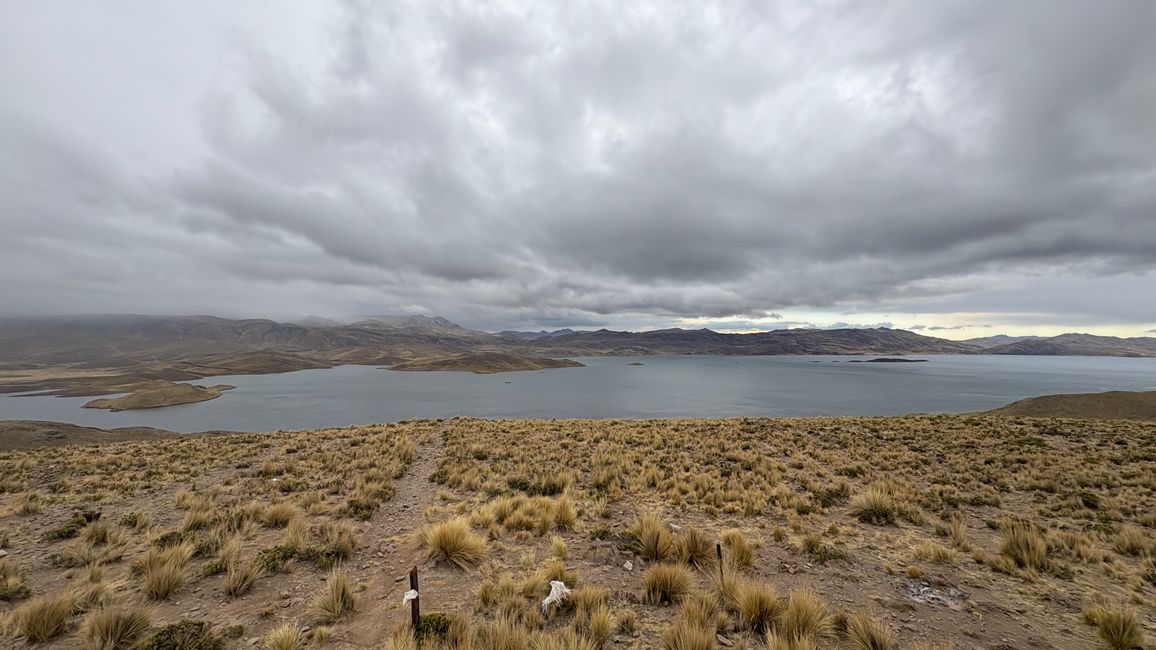 Perù_2025 - Giorno 9: Canyon del Colca e Croce del Condor