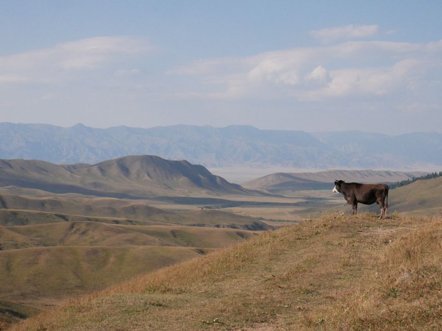 Deux jours dans la steppe kazakhe