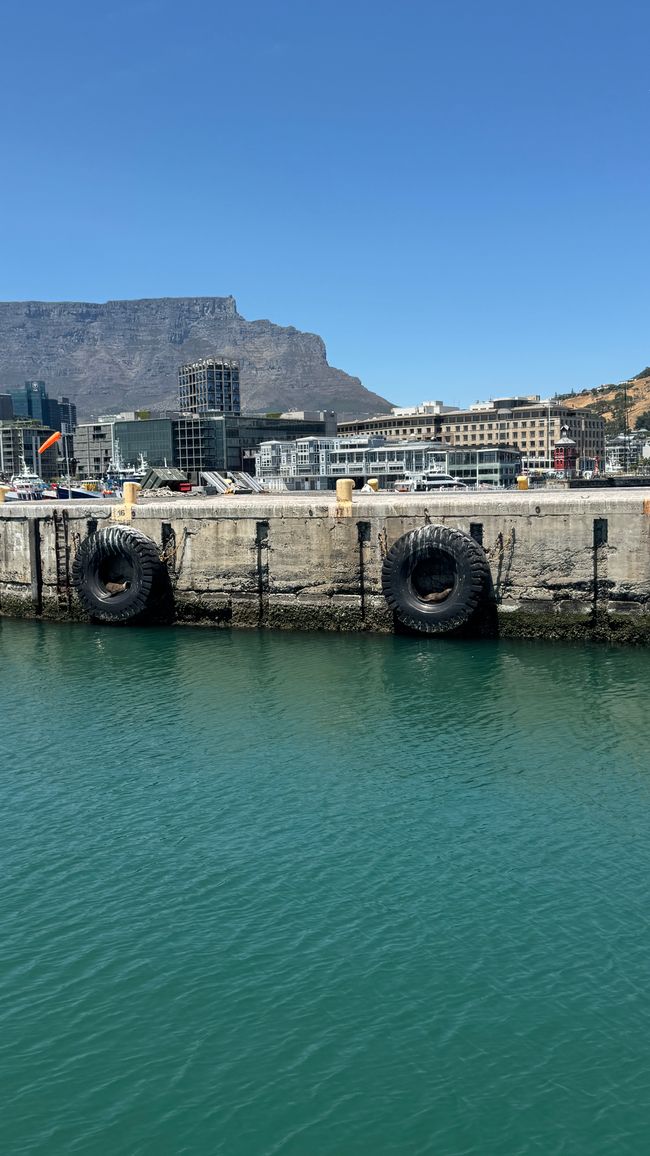 Tour del porto a Città del Capo, Spiaggia di Muizenberg, Spiaggia di Boulders, Capo di Buona Speranza
