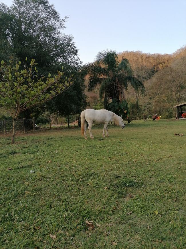 Refugio Canaa Brasil