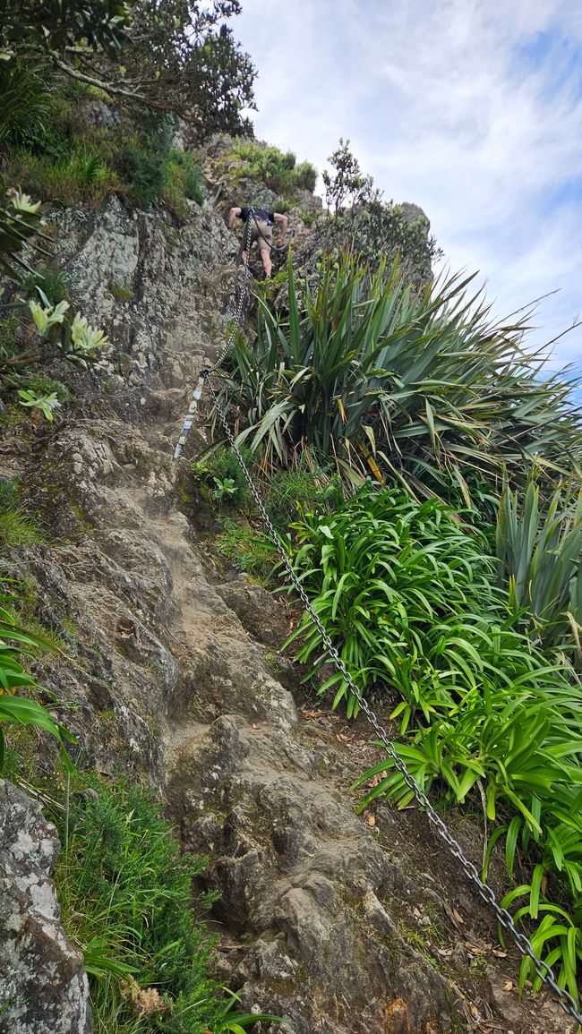 Cape Egmont Lighthouse - Ōakura - Paritutu Rock - Holly Hut Track