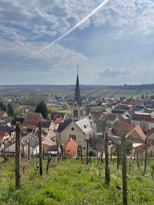 Schwabsburg